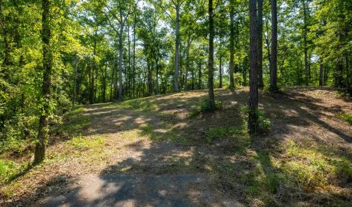 Photo #7 of TBD Francis Marion Dr., Georgetown, SC 3.3 acres