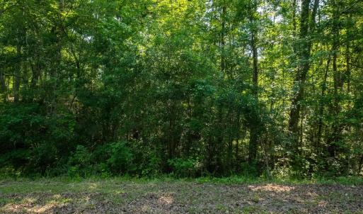 Photo #2 of TBD Francis Marion Dr., Georgetown, SC 3.3 acres