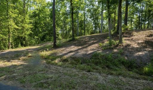 Photo #3 of TBD Francis Marion Dr., Georgetown, SC 3.3 acres