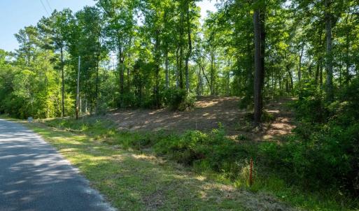 Photo #4 of TBD Francis Marion Dr., Georgetown, SC 3.3 acres