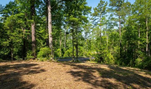 Photo #11 of TBD Francis Marion Dr., Georgetown, SC 3.3 acres