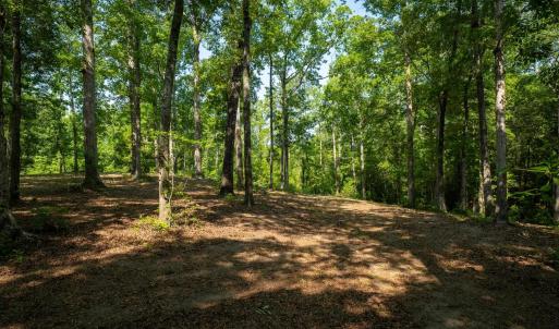 Photo #10 of TBD Francis Marion Dr., Georgetown, SC 3.3 acres