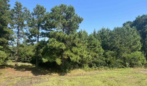 Photo #1 of Lot 2 Highway 707, Myrtle Beach, SC 1.8 acres
