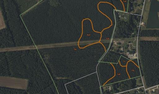 Photo #3 of TBD Bluebird Ln., Conway, SC 99.2 acres