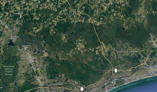 Photo #4 of TBD Bluebird Ln., Conway, SC 99.2 acres