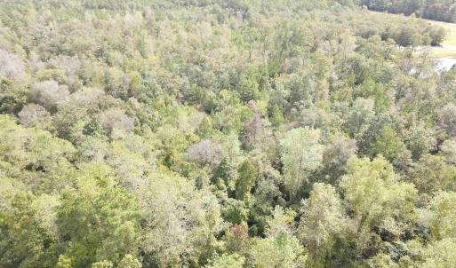 Photo #1 of Lot 6 Rainbow Dr., Loris, SC 2.1 acres