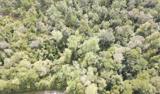 Photo #4 of Lot 6 Rainbow Dr., Loris, SC 2.1 acres