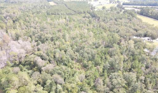 Photo #3 of Lot 6 Rainbow Dr., Loris, SC 2.1 acres