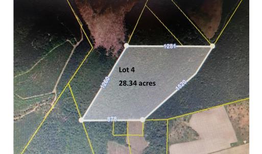 Photo #9 of TBD Wright Rd., Loris, SC 59.3 acres