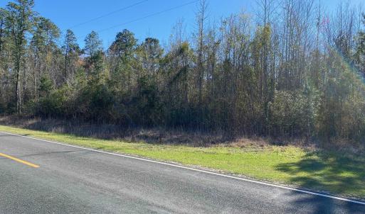 Photo #16 of TBD Wright Rd., Loris, SC 59.3 acres