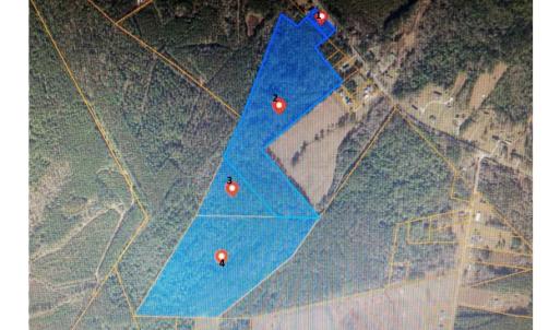 Photo #5 of TBD Wright Rd., Loris, SC 59.3 acres