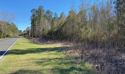 Photo #15 of TBD Wright Rd., Loris, SC 59.3 acres