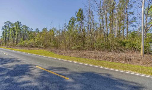 Photo #14 of TBD Wright Rd., Loris, SC 59.3 acres