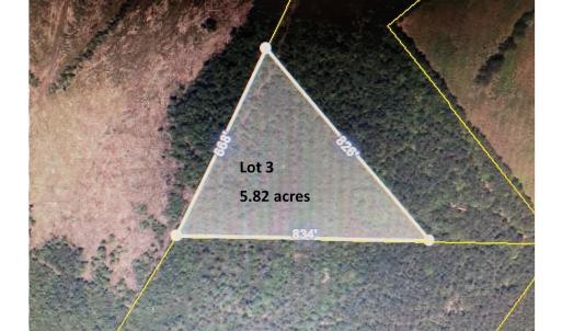 Photo #6 of TBD Wright Rd., Loris, SC 59.3 acres