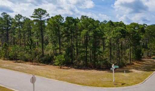 Photo #1 of 1259 Ficus Dr., Myrtle Beach, SC 0.5 acres