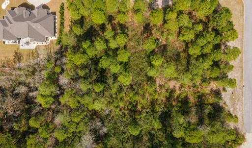 Photo #13 of 1259 Ficus Dr., Myrtle Beach, SC 0.5 acres