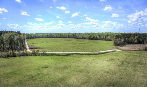 Photo #11 of TBD Roleighn Rd., Conway, SC 44.0 acres