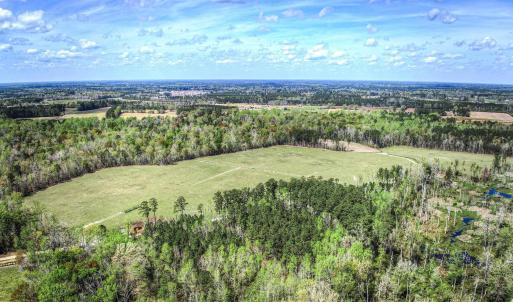 Photo #8 of TBD Roleighn Rd., Conway, SC 44.0 acres