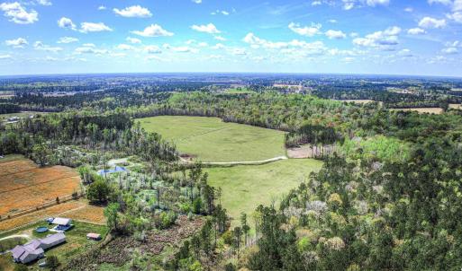 Photo #10 of TBD Roleighn Rd., Conway, SC 44.0 acres