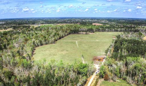 Photo #7 of TBD Roleighn Rd., Conway, SC 44.0 acres