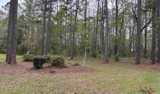 Photo #1 of Lot 5 Persimmon Ford Rd., Johnsonville, SC 0.5 acres