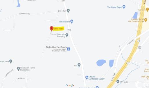 Photo #2 of TBD Betts Rd., Murrells Inlet, SC 32.5 acres