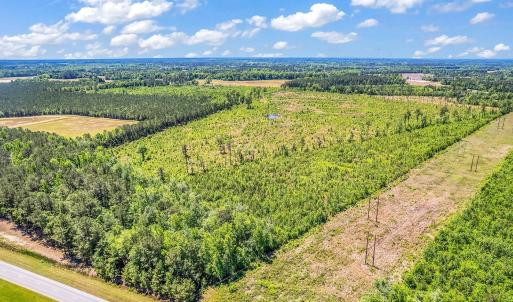 Photo #9 of TBD Highway 501, Mullins, SC 33.0 acres