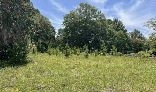 Photo #2 of TBD North Longstreet St., Kingstree, SC 0.9 acres