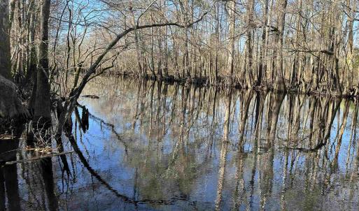 Photo #19 of 821 Lake City Hwy., Johnsonville, SC 149.0 acres
