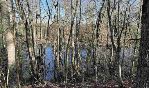 Photo #20 of 821 Lake City Hwy., Johnsonville, SC 149.0 acres