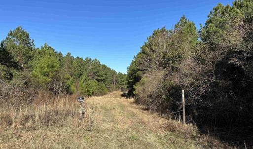 Photo #17 of 821 Lake City Hwy., Johnsonville, SC 149.0 acres