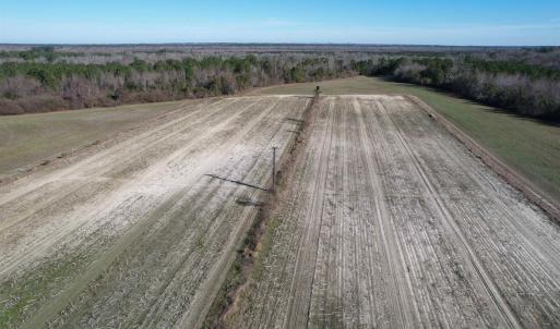 Photo #5 of 821 Lake City Hwy., Johnsonville, SC 149.0 acres