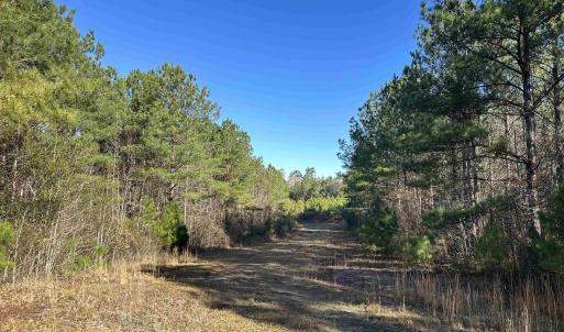 Photo #18 of 821 Lake City Hwy., Johnsonville, SC 149.0 acres