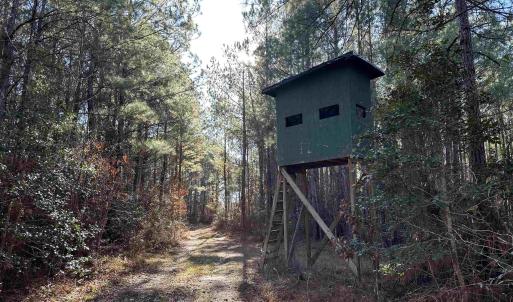 Photo #1 of 821 Lake City Hwy., Johnsonville, SC 149.0 acres