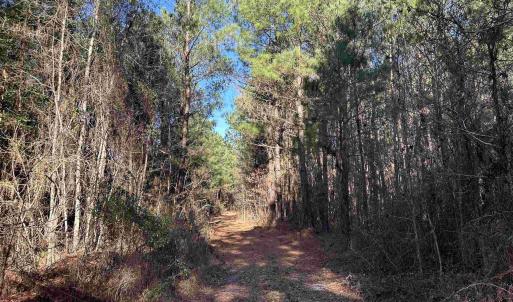 Photo #15 of 821 Lake City Hwy., Johnsonville, SC 149.0 acres