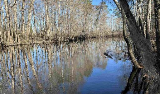 Photo #4 of 821 Lake City Hwy., Johnsonville, SC 149.0 acres