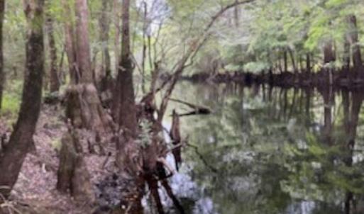 Photo #9 of 821 Lake City Hwy., Johnsonville, SC 149.0 acres