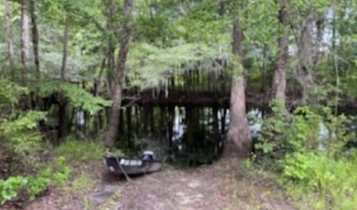 Photo #8 of 821 Lake City Hwy., Johnsonville, SC 149.0 acres
