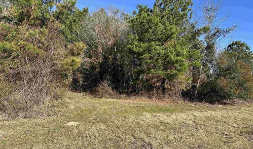 Photo #22 of 821 Lake City Hwy., Johnsonville, SC 149.0 acres
