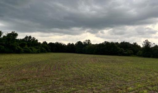Photo #7 of 821 Lake City Hwy., Johnsonville, SC 149.0 acres