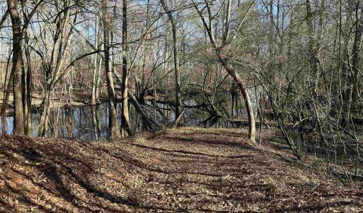 Photo #21 of 821 Lake City Hwy., Johnsonville, SC 149.0 acres