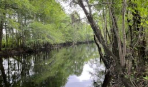 Photo #2 of 821 Lake City Hwy., Johnsonville, SC 149.0 acres
