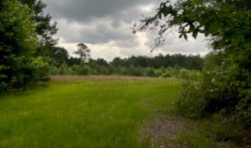 Photo #12 of 821 Lake City Hwy., Johnsonville, SC 149.0 acres