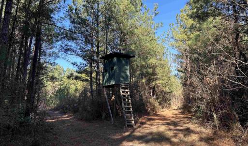 Photo #16 of 821 Lake City Hwy., Johnsonville, SC 149.0 acres