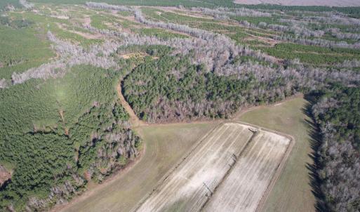 Photo #30 of 821 Lake City Hwy., Johnsonville, SC 149.0 acres
