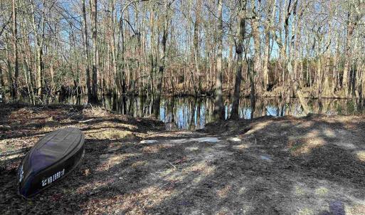 Photo #3 of 821 Lake City Hwy., Johnsonville, SC 149.0 acres