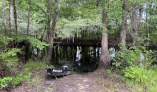 Photo #7 of 821 Lake City Hwy., Johnsonville, SC 149.0 acres