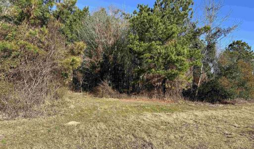 Photo #16 of 821 Lake City Hwy., Johnsonville, SC 149.0 acres
