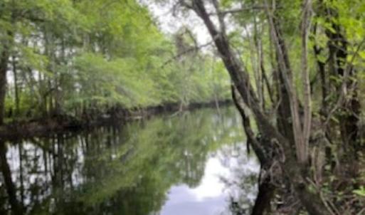 Photo #2 of 821 Lake City Hwy., Johnsonville, SC 149.0 acres
