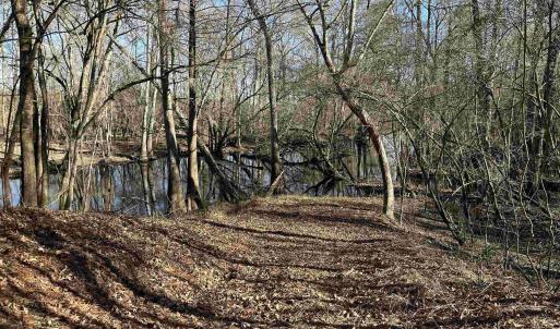 Photo #15 of 821 Lake City Hwy., Johnsonville, SC 149.0 acres